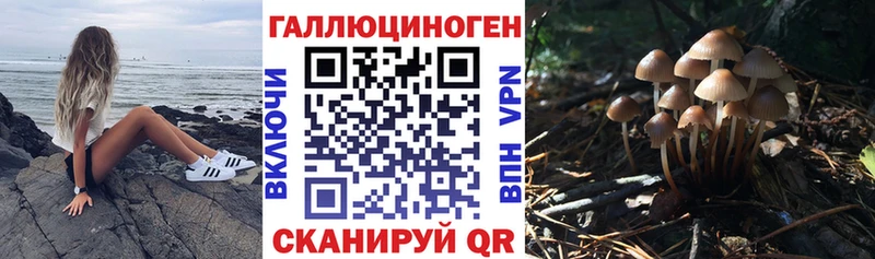 даркнет сайт  Южно-Сухокумск  Псилоцибиновые грибы MAGIC MUSHROOMS 